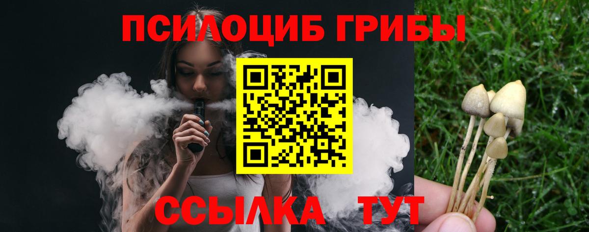 Псилоцибиновые грибы прущие грибы  как найти закладки  Чусовой  Вход с VPN 